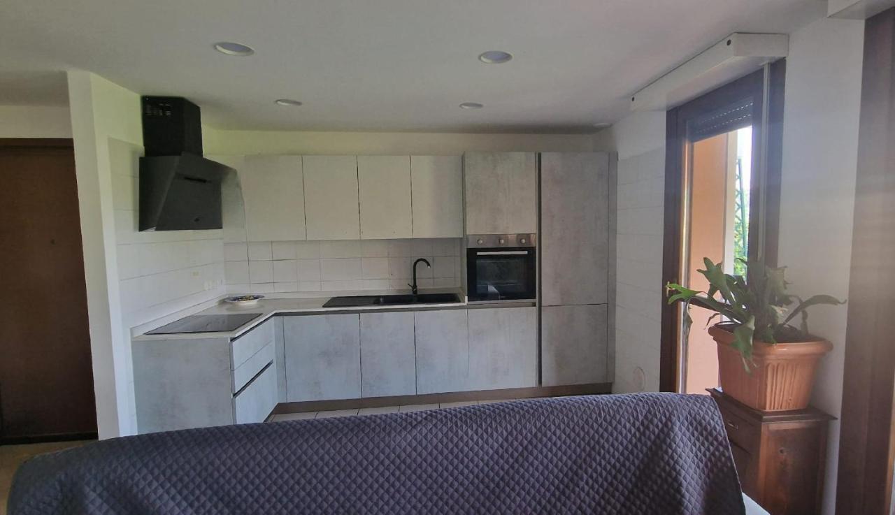 Alicia Apartament